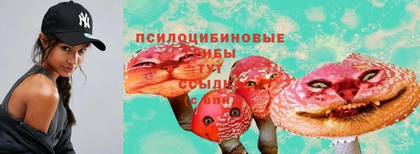 дмт Богородицк